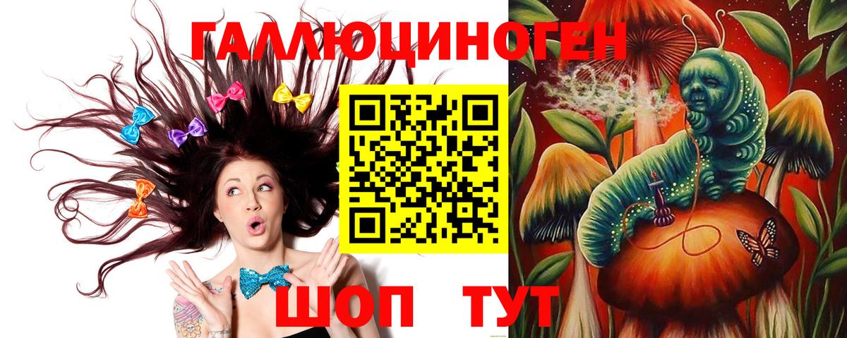 Псилоцибиновые грибы Psilocybe Нефтекумск