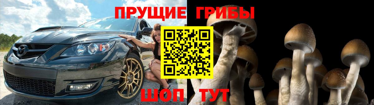 Галлюциногенные грибы GOLDEN TEACHER  Вход с VPN  Нефтекумск 